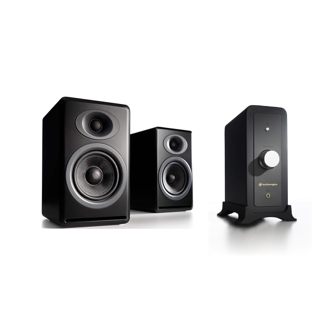 P4 Passive Speakers+ N22 Next Gen Amplifier (Gold Standard Package)