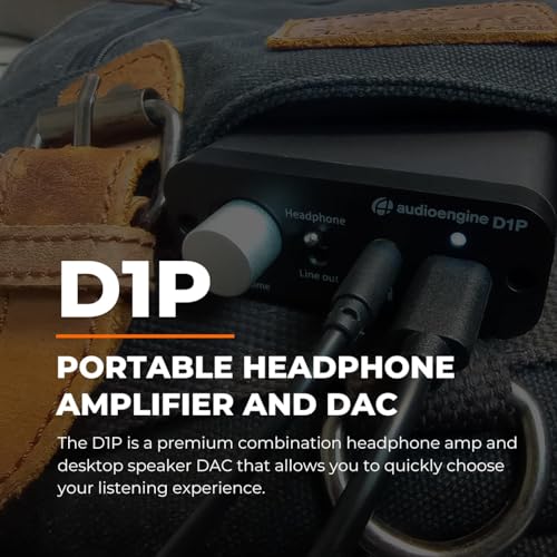 Audioengine D1P Portable Headphone Amplifier and 32 Bit DAC - Audio Switcher for Desktop Gaming and Music Lovers