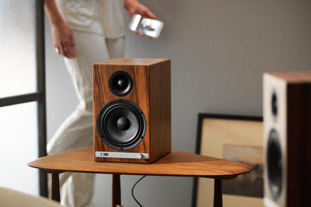 Buying Wireless Speakers