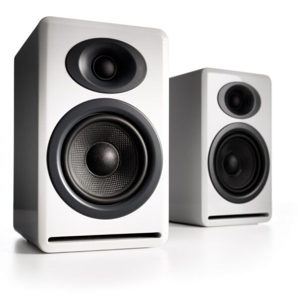 P4 Passive Speakers (Open Box)